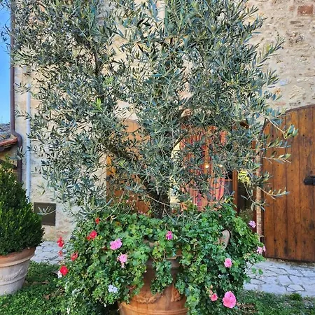Il Maniero Country House Cetona